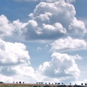 晨曦的梦想 (12)