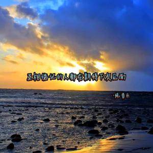 互相惦记的人都在期待下次见面 (纯音乐版)