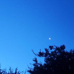 stay awhile, please.