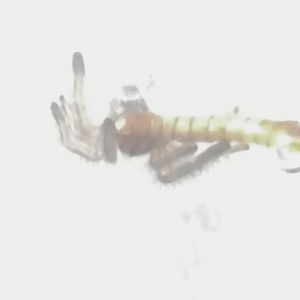 我做的太多所以才会被他们诋毁(prod.by saiwne/ savant)