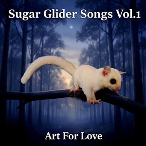 Sugar Glider You've Got My Love