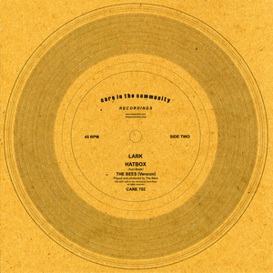 Hatbox (The Bees Version)