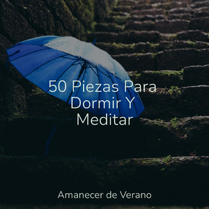 Desvaneciéndose en sueños