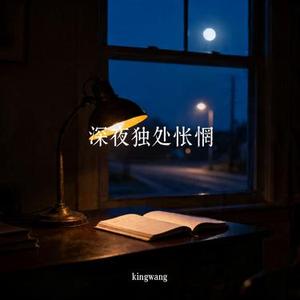 深夜独处怅惘