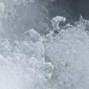 ハクシ (feat. さとり)