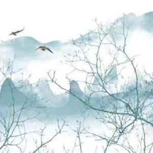 杀死那个石家庄人