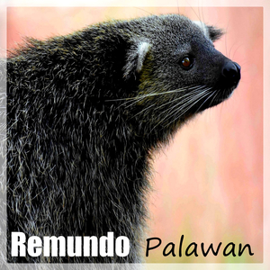 Palawan