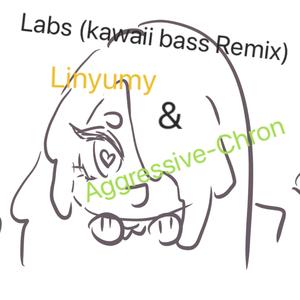 Labs（Kawaii bass Remix）
