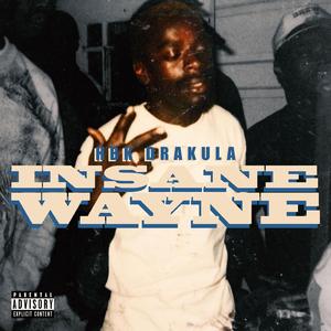 INSANE WAYNE