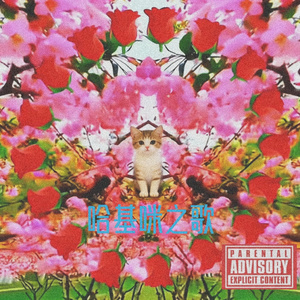 南北绿豆FREESTYLE