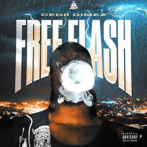 Free Flash