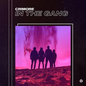 In The Gang