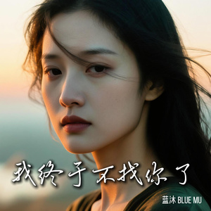 我终于不找你了