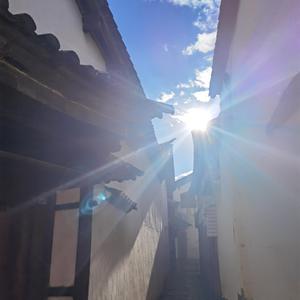 《白白谣》词曲唱赵鑫