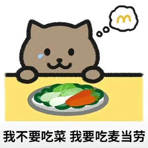 胖猫日记