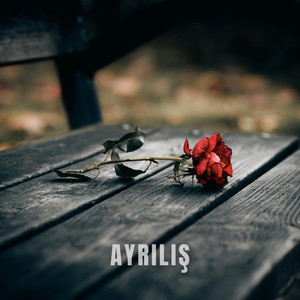 Ayrılış