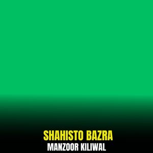 Shahisto Bazra