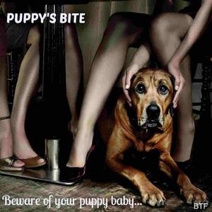 PUPPY'S BITE (Be aware of your puppy)