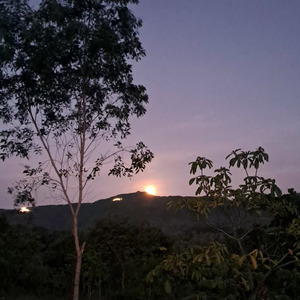 Keroncong Syahdu