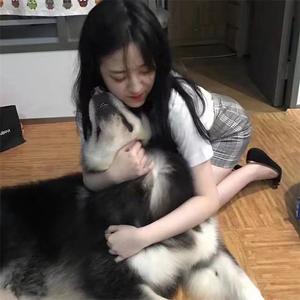 相思本是无凭语