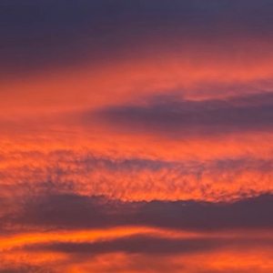 ยินดีที่ได้พบพานและลาจาก