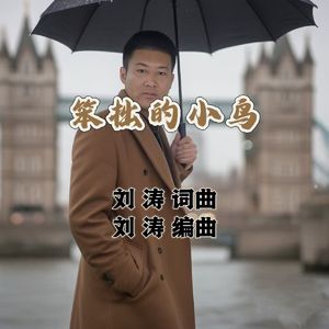 笨拙的小鸟 伴奏