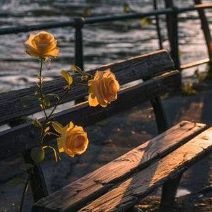 一人一生的浪漫之约