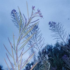 afterthought (feat. SOOJUNG, Emma Jane Grant & Eilidh Pope)