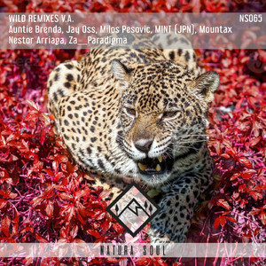 Orange ((MINT JPN) Remix)