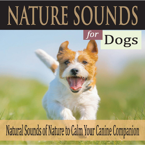 Calming Canine Sounds