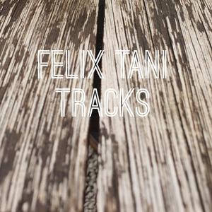 Tracks