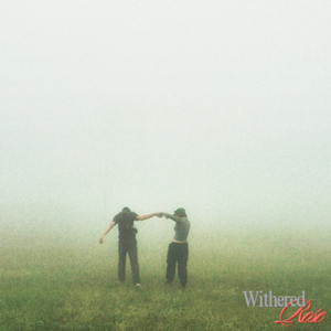 ในวันที่ฝนตก