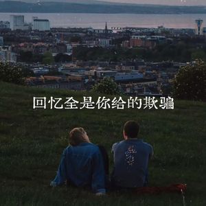 回忆全是你给的欺骗