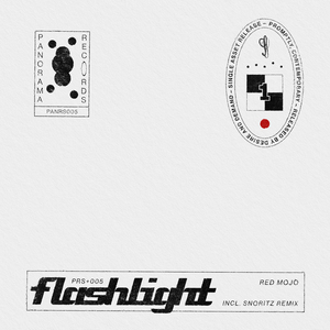 Flashlight (snoritz Remix) (Radio Edit)