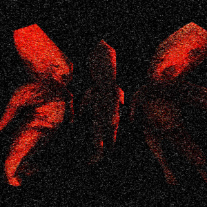 Никто не ответил и я открыл дверь