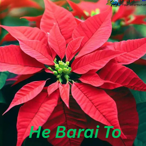 He Barai to