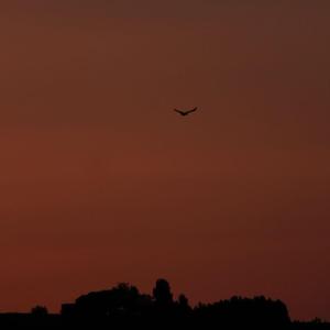 Peaceful Bedroom Cassette