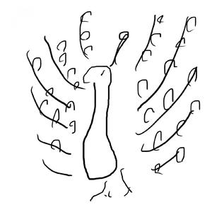 言葉はいらない