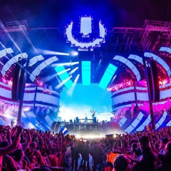 为你受尽冷风吹 (DJ版)