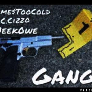 Gang (feat. Jame$toocold & NeekOwe)