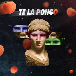 Te la Pongo