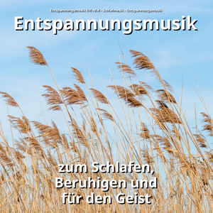 Progressive Muskelentspannung im Wind