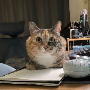 水调歌头—王菲