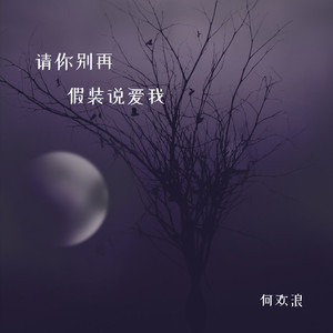 请你别再假装说爱我