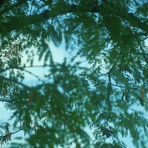 Summer Breeze (feat. 허지영)