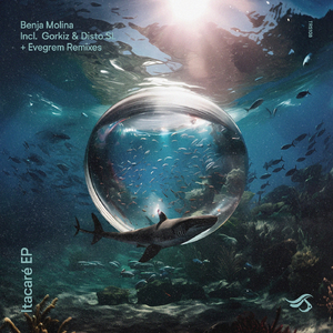 Magenta (Evegrem Remix)