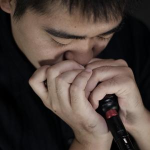 小镇姑娘（蓝调口琴）