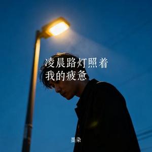 凌晨路灯照着我的疲惫