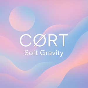 Soft Gravity