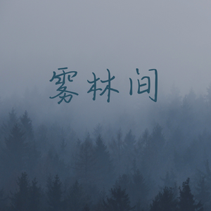 雾林间